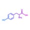 Tyrosine Tyr amino acid