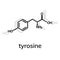 Tyrosine Tyr amino acid