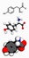 Tyrosine (Tyr, Y) amino acid, molecular model