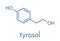 Tyrosol molecule. Antioxidant found in olive oil. Skeletal formula.