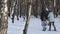 Tyumen , Russia - February 24, 2016 : Young girl skier and a young couple in the sprint classic style in the winter