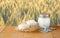 Tzfatit cheese , cottage and milk on wooden table over wheat field at sunrise sun burst background. jewish holiday Shavuot conc