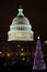 U.S. Capitol with Christmas Tree