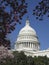 U.S. Capitol Dome