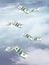 U.S. dollar banknotes that fly