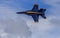 U.S. Navy Blue Angels Flight Demonstration Team