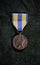 U. S. Navy Expeditionary Medal