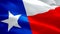 U.S. Texas State flag waving in wind video footage Full HD. Realistic State Flag background. Texas Flag Looping closeup 1080p Full