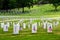 U.S. war veterans cemetery