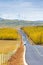 An U-shape highway in golden forest in Bashang grassland