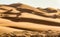 UAE Desert Beautiful sand dunes
