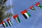 UAE Flags, Palm Tree Leaves and Blue Sky in United Arab Emirates