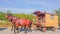 Ubla, Slovakia - 02 September 2018: Horses with Wooden Gypsy Wagon Train on a Road
