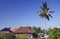 Ubud Landscape. Palm tree and traditional houses