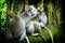 Ubud Monkey Forest 1
