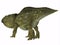 Udanoceratops Dinosaur Tail