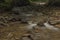 Udava river in national park Poloniny in summer monring near Osadne village