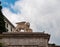 Udine - Close up view of statue of Venetian Lion up the gate to uphill the castle of Udine, Friuli Venezia Giulia