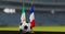 UEFA 2024 Soccer Ireland vs France European Championship Qualification Ireland and France with soccer ball. 3d work. Yerevan,