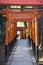UENO, JAPAN - FEBRUARY 19, 2016 : Torii doors tunnel gate to Gojo Tenjin shrine at Ueno park