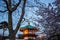 Ueno Sakura Matsuri Cherry Blossom Festival at Ueno ParkUeno Koen,Taito,Tokyo,Japan on April 7,2017:Bentendo Temple with cherr