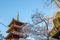 Ueno Sakura Matsuri Cherry Blossom Festival at Ueno ParkUeno Koen,Taito,Tokyo,Japan on April 7,2017:Five-story pagoda of forme