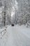 Uetliberg trekking lane