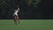 UFA RUSSIA - 05.09.2021: Match on a horse in a polo club. The rider kicks the white ball on the grass. The player hits