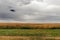 UFO Flying Saucers hovering above a corn field