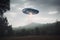 UFO over forest