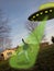 UFO Space Alien Abduction, Flying Saucer
