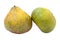 Ugli Fruit Also Called Uniq Fruit