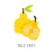 Ugli fruit flat vector illustration