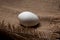 Ugly abnormal crooked egg on the background of burlap, close-up