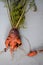 Ugly carrot vegetable. Strange funny-shaped carrot with tops on a light background. Vegetable crop concept