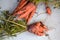 Ugly carrot vegetable. Strange funny-shaped carrot with tops on a light background. Vegetable crop concept