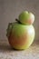 Ugly conjoined Siamese two apples.Funny, unnormal fruit or food waste concept.