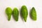 Ugly cucumbers on a white background