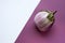 Ugly eggplant on a contrasting white and purple paper background. Organic vegetable Solanum melongena. Conscious eating concept