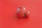Ugly food concept, single deformed tomato on the red background, copy space