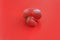 Ugly food concept, single deformed tomato on the red background, copy space