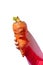 Ugly food. Deformed organic carrot in child& x27;s hand on white background isolated. Bright juicy colors. Misshapen produce