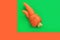 Ugly food. Deformed organic carrot on pastel background in green and orange duoton