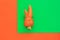 Ugly food. Deformed organic carrot on pastel background in green and orange duoton