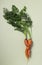 Ugly fresh carrot on green background. Concept organic natural vegetables. View from above. Vertical format