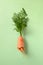 Ugly fresh carrot on green. Concept organic natural vegetables