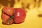 An ugly fresh tomato on a yellow background with space for text. Banner