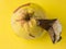 Ugly fruit pomelo on a yellow background