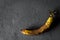 Ugly fruit. Spoiled yellow banana with brown dots on a dark background. Despicable Bananas Decay