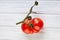 Ugly fruit or vegetable. Severely malformed mutant tomato. Food shops mostly prefer the best quality fruit and